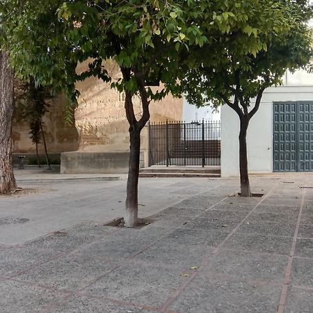 Апартаменти Casa Mnuela - Centro Jerez - Parking Opcional Херес-де-ла-Фронтера Екстер'єр фото