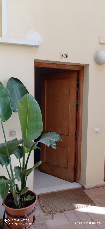 Апартаменти Casa Mnuela - Centro Jerez - Parking Opcional Херес-де-ла-Фронтера Екстер'єр фото
