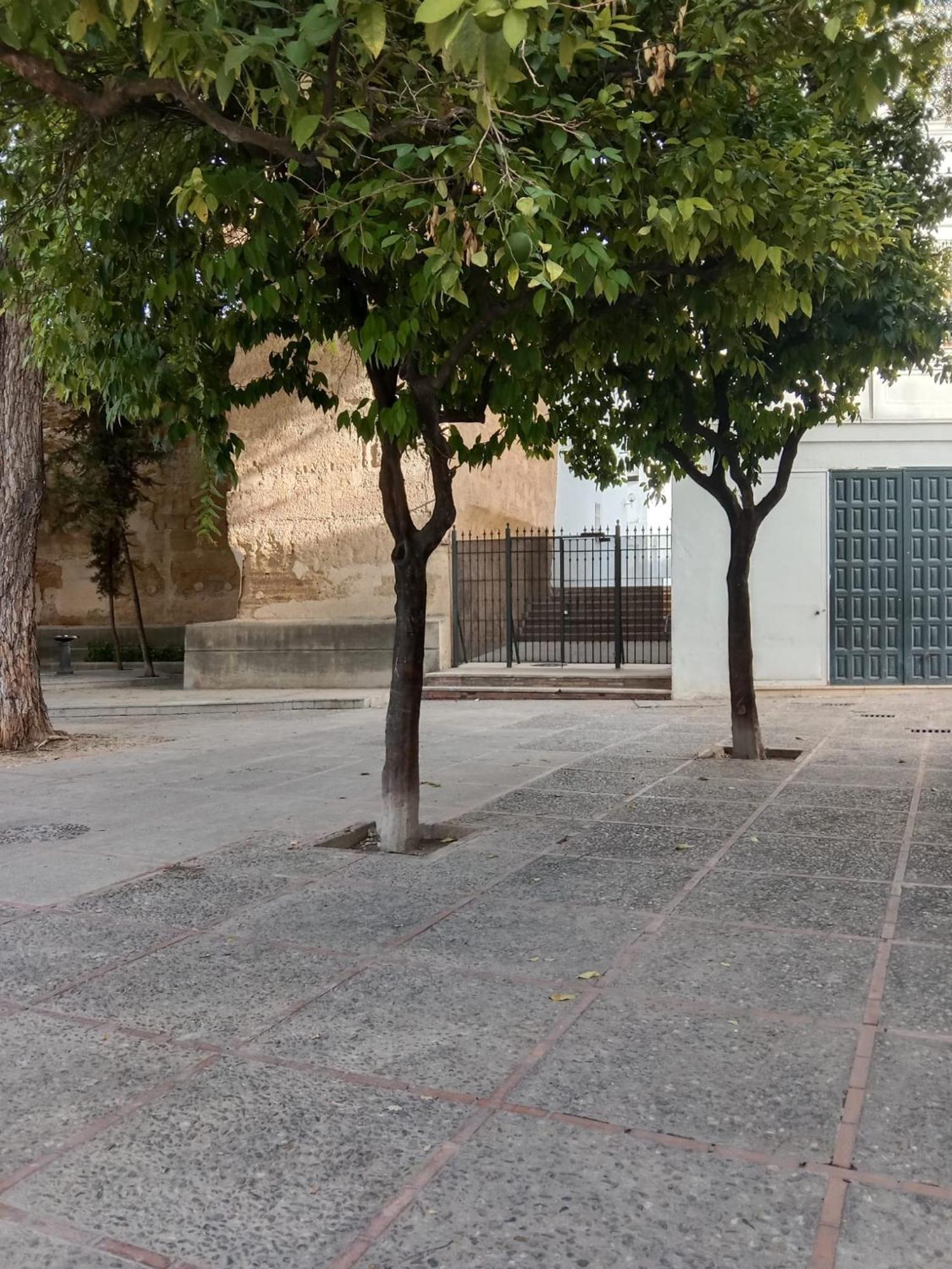 Апартаменти Casa Mnuela - Centro Jerez - Parking Opcional Херес-де-ла-Фронтера Екстер'єр фото